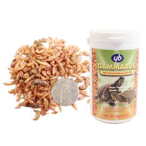 YB감마루스 250ml 거북이 밥 먹이 사료 건조새우