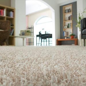 러그마켓 베를린 샤기카페트