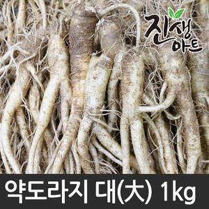 국산 약 도라지 大 1kg