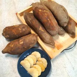 야콘 생식용 (특) 10kg / 달콤 아삭한 햇 야콘 2025년 국내산 생야콘