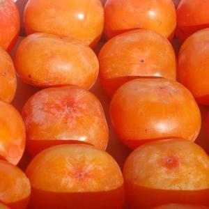 대용량 냉동 홍시 10kg 80-90과 주스 스무디 껍질 씨심 제거