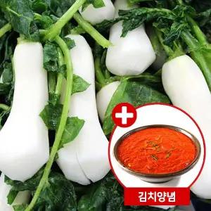 [G][전라도광주김치] 절임알타리무6kg + 양념2kg