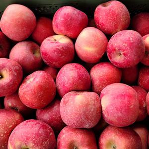 밀양 얼음골 사과 (정상품) 5kg 신맛 적고 당도 높은 프리미엄 부사