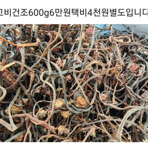 지리산 하동 햇 건조 고비 600g 1개