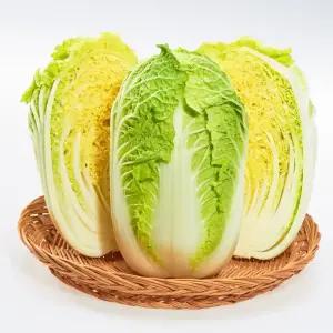 채소다움 국내산 알배기 쌈배추 특품 3kg (1포기 800g 내외)