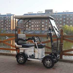 4륜전동스쿠터 2인용 미니 어르신 스쿠터 전동차 전동 골프장 충전식 전기