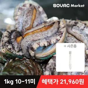 [혜택가 21,960원] 바다마을 완도 활 전복 1kg 10~11미 산소포장(+세척 솔)