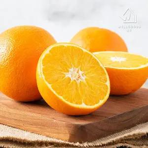 프리미엄 네이블 오렌지 5kg(26과내외,개당180g내외)