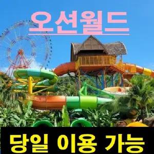 (당일가능) [문자전송] 홍천 오션월드 종일이용권 워터파크 조끼포함