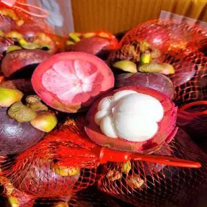 [지금출발]태국 생 (4망) 2kg 망고스틴 관우농가