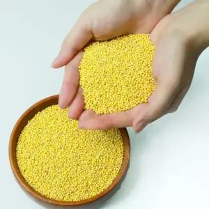 국내산 무농약 유기농 25년산 햇 잡곡 기장 500g