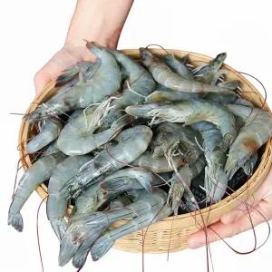 빌리푸드 군산 산지 자연산 대하 새우 1kg