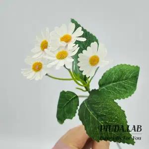 데이지 비누꽃 한송이 흰색 꽃대포함