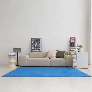 헤일럽 데이럽 먼지없는 사계절 단모 대형 사각 러그 거실용 카페트 큰사이즈