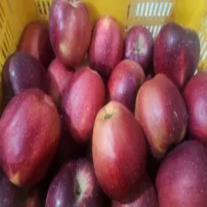 고당도 사과 피치애플(엔부사과) 혼합사이즈 3kg, 1개