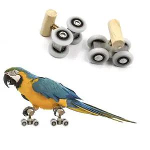 [골드스마일]앵무새 롤러스케이트