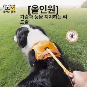 일체형 하네스 리드줄 진돗개 산책줄 소형견 강아지 중대형견 목줄