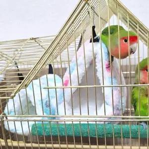 [골드스마일]앵무새침대 하트둥지 앵무새 포치 대 앵무새둥지