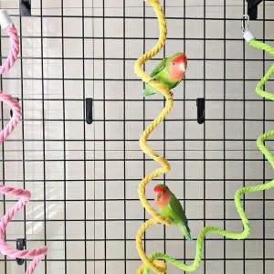 [골드스마일]앵무새횟대 앵무새 놀이터 와이어 로프 횟대 1.5m