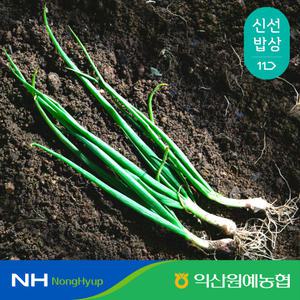 [익산원예농협] 국산 쪽파 흙쪽파 2kg