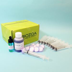 [과학쌤이오] 소화효소 네프론원리 실험세트