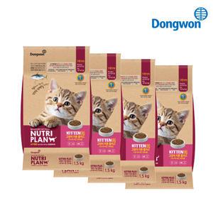 뉴트리플랜 캣 키튼 플러스 1.5kg×4개