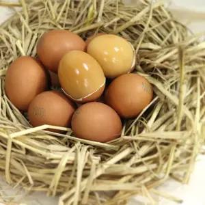 국내산 구운계란(대란)30구2판(총60구)/구운란