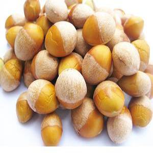 맛남의광장/깐은행1kg /농사지은 은행/농장직영/국산/안주