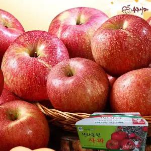 [남촌][한터] 충주 부사 사과 4.5kg(17~20과)