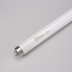 [소노조명]오스람 직관 형광 램프 32W FHF865 주광색 30개 1박스