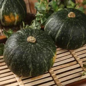 25년 국내산 청정 햇 단호박 10kg