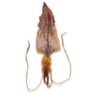 한치 몸통 다리한치 파지 250g 500g 술안주 마른안주-아이스박스포장포함-