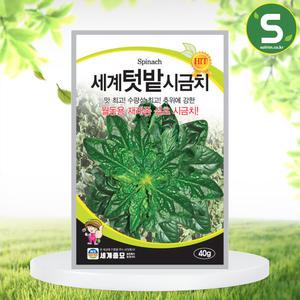 세계텃밭시금치 40g 시금치씨앗 월동용 재래종 섬초