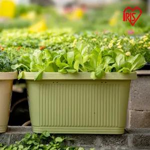 아이리스  50L 대형 프란타 텃반화분 사각화분 대형 화분700 베란다 가드닝 정원가꾸기 야채 재배기