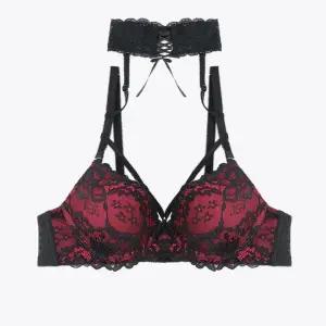 [롯데백화점]섹시쿠키 크리스마스 초커 스트링 레드 브라 SCWBZB01