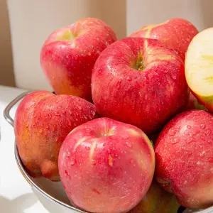 [더조은] 경북 홍로 못난이 꿀사과 5kg 23-28과