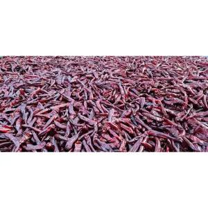 [이랑농장]25년 햇 세척 꼭지없는 건고추(매운고추) 10근(6kg)