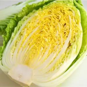 [올즈마켓]속이 꽉찬 특품 신선배추 8kg(3포기)