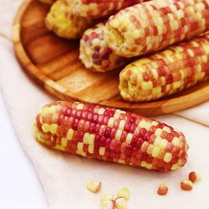 알록달록 홍찰 냉동 삶은 찰옥수수 40개