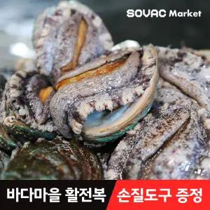 [바다마을] 완도 활 전복 1kg 8~9미 산소포장(+세척 솔)