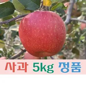 (팔공산농원) 사과(부사) 5kg 정품