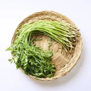 [푸드빌리지] 돌미나리 4kg 특품