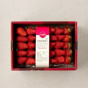 산청 장희 딸기 (대) 750g 팩