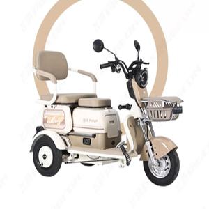 장거리주행전기자전거 전동스쿠터 세발 여성 배달용