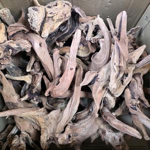 레인보우 부세유목 15-20cm 어항 수족관 장식 활착