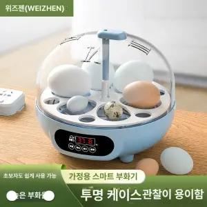 부화용 오리알 계란 유정란 10개