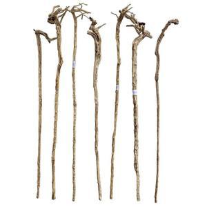 막대기 나무 지팡이 선물 어버이날선물 감태