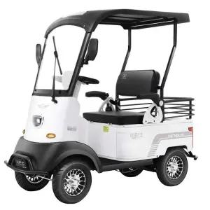 골프카 전동차 소형 리조트 4륜 관광 유원지 어르신 농업