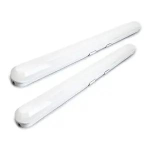 라이톤 LED 일자등 50W 2p