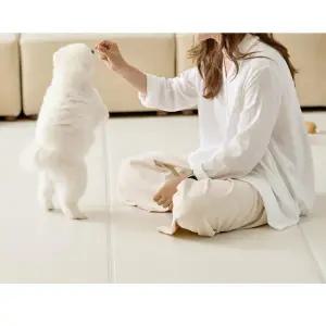 울리 고양이 러그 매트 미끄럼방지 솔리쉬 240x140